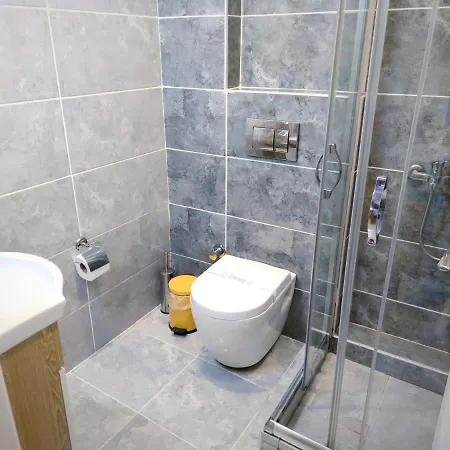 Olen Altunizade Otel 2*